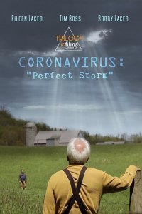 Постер к Коронавирус: Идеальный шторм (2020)